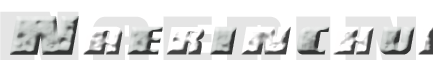  Ȩ